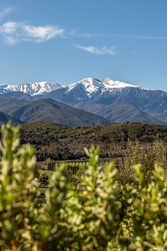 Pic du Canigou depuis Rodès