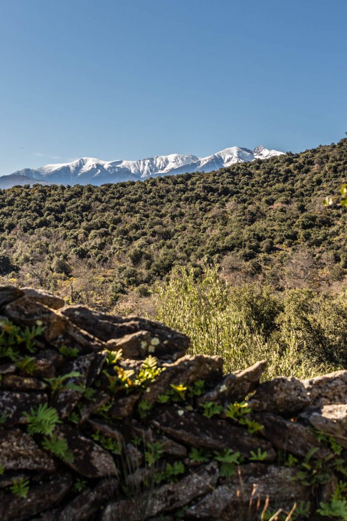 Vestiges de Ropidera à Rodès
