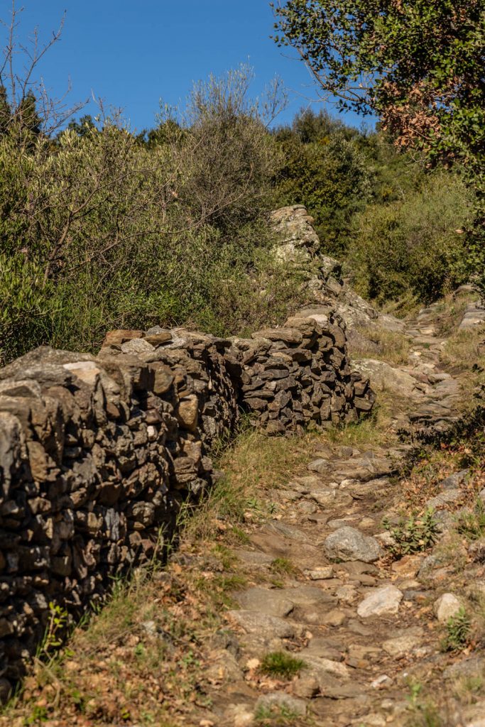 Vestiges de Ropidera à Rodès