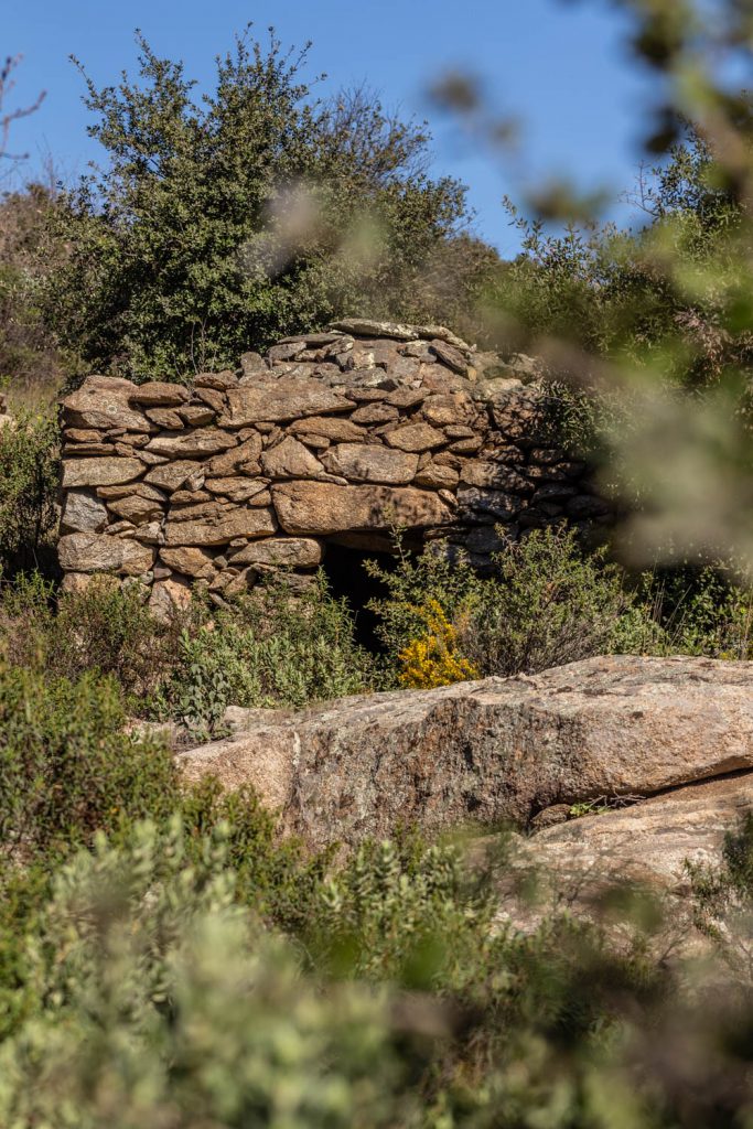 Orri sur les sentiers de balades à Rodès