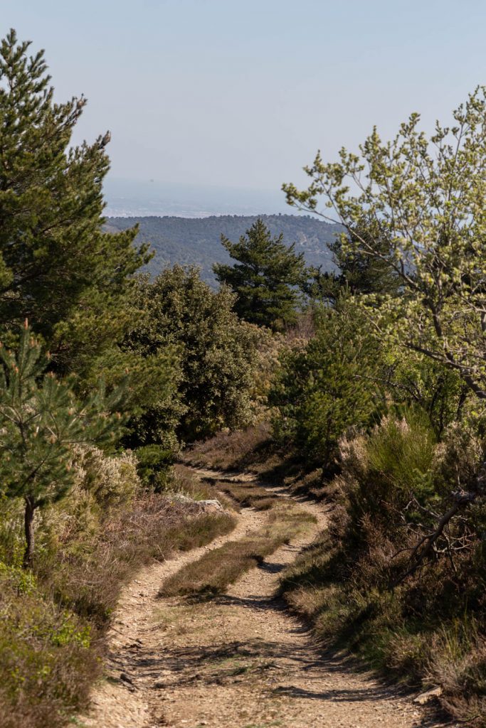 randonnée du prieuré de Serrabone au Col des Arques