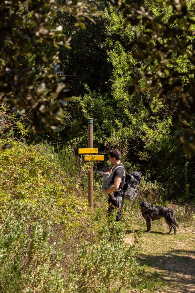 randonnée du prieuré de Serrabone au Col des Arques
