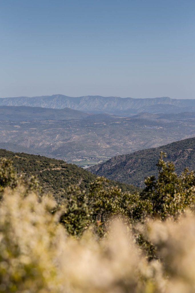 randonnée du prieuré de Serrabone au Col des Arques