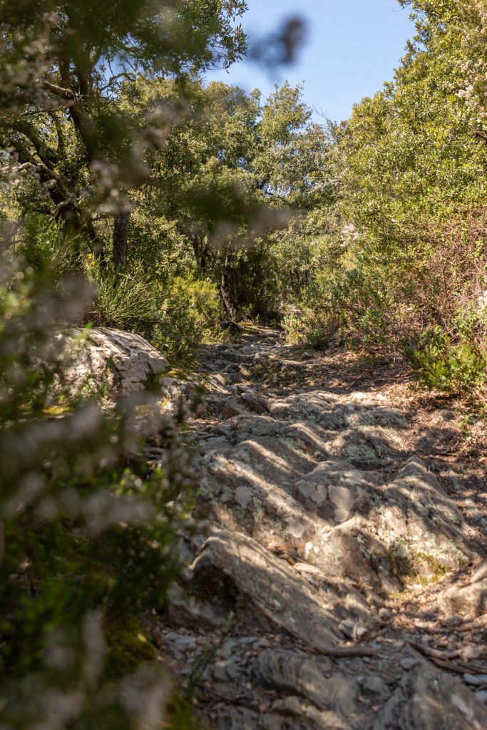 randonnée du prieuré de Serrabone au Col des Arques