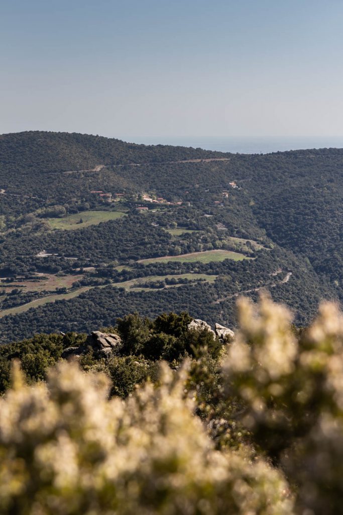 randonnée du prieuré de Serrabone au Col des Arques