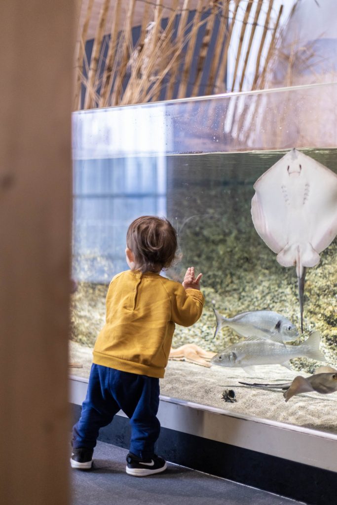 L'aquarium | Banyuls-sur-Mer