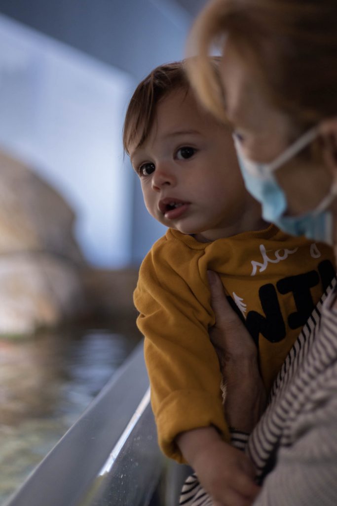 L'aquarium | Banyuls-sur-Mer