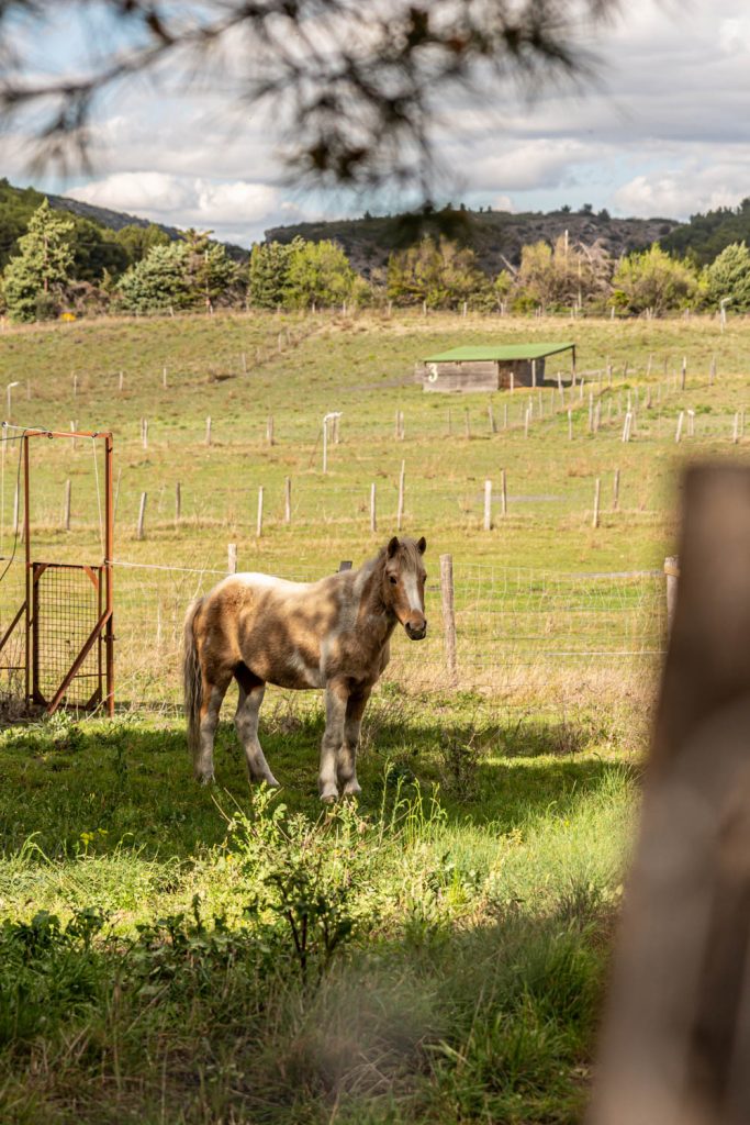 La Ferme des Myrs à Espira-de-l'Agly