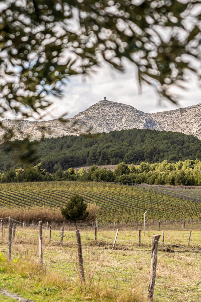 La Ferme des Myrs à Espira-de-l'Agly