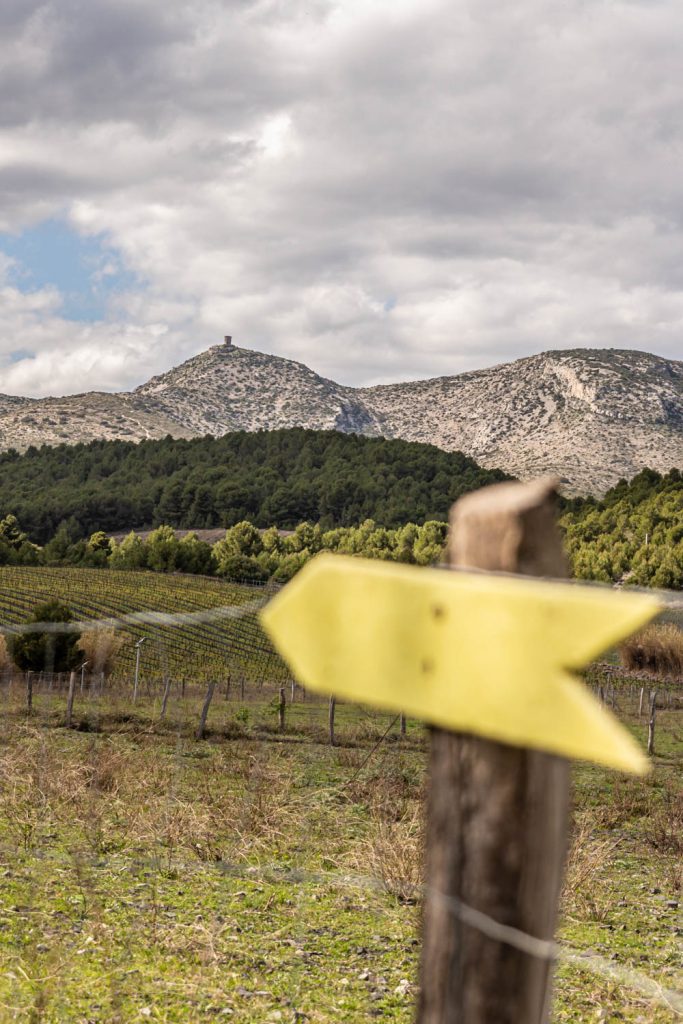 La Ferme des Myrs à Espira-de-l'Agly