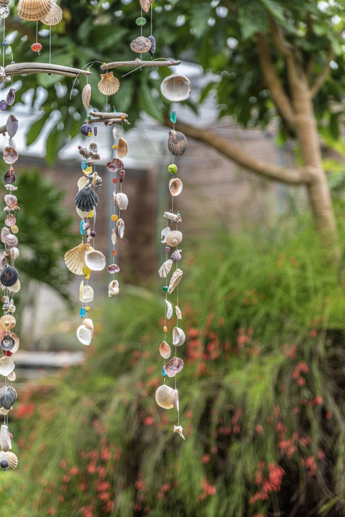 le tropique du papillon Elne