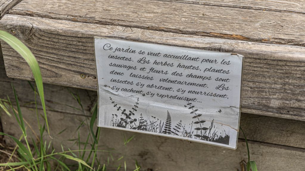 le tropique du papillon Elne