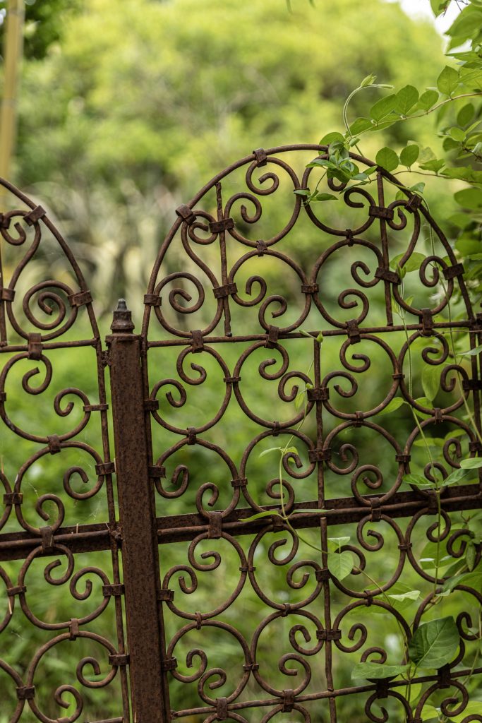le tropique du papillon Elne