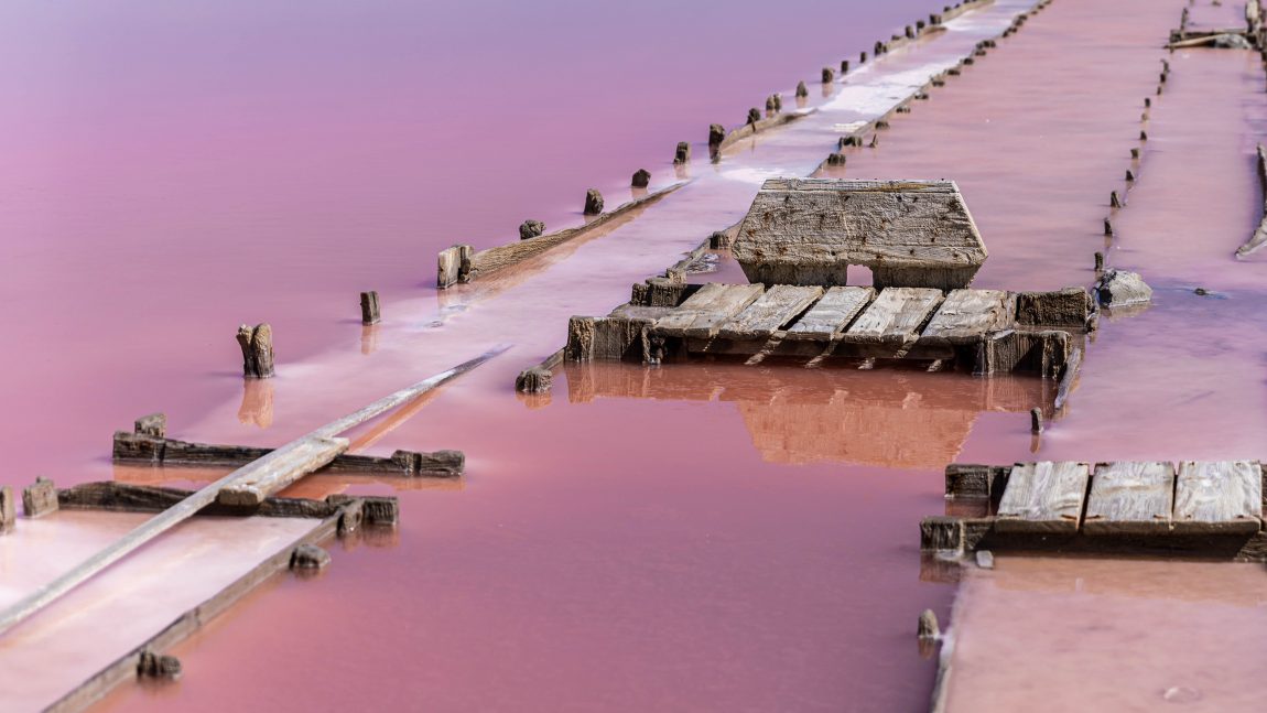AUDE INSOLITE - SALIN DE GRUISSAN France
