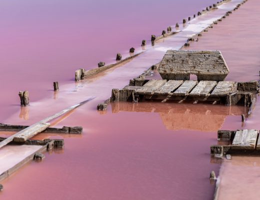 AUDE INSOLITE - SALIN DE GRUISSAN France