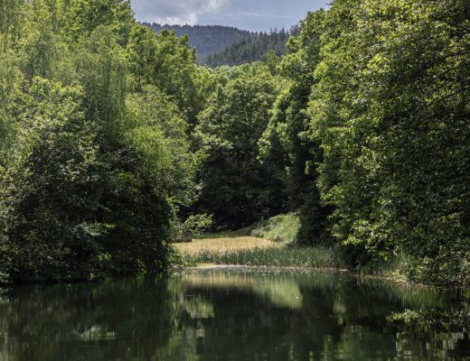 RANDONNÉE FENOUILLET