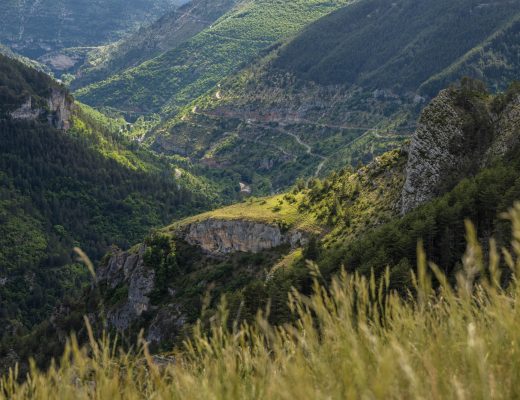 DOMAINE DES BOISSETS GORGES DU TARN